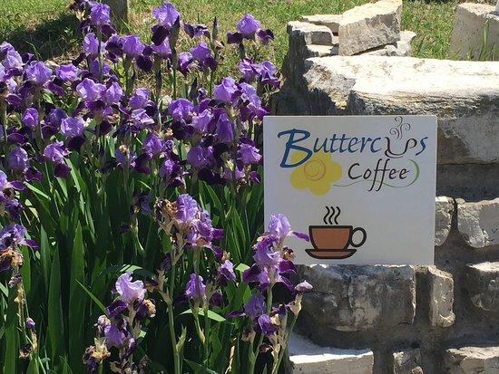 Buttercups Coffee